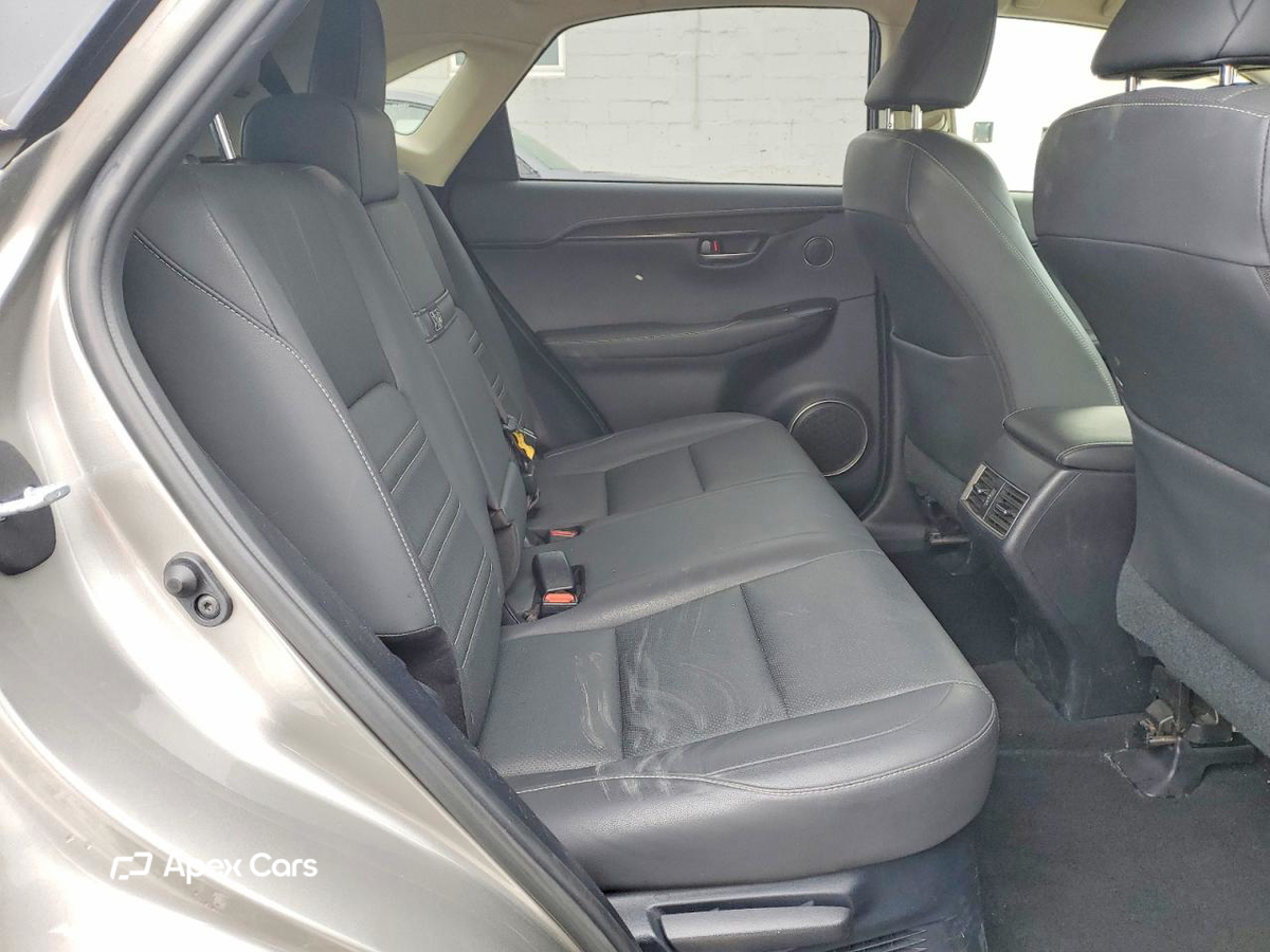 Lexus NX 2019