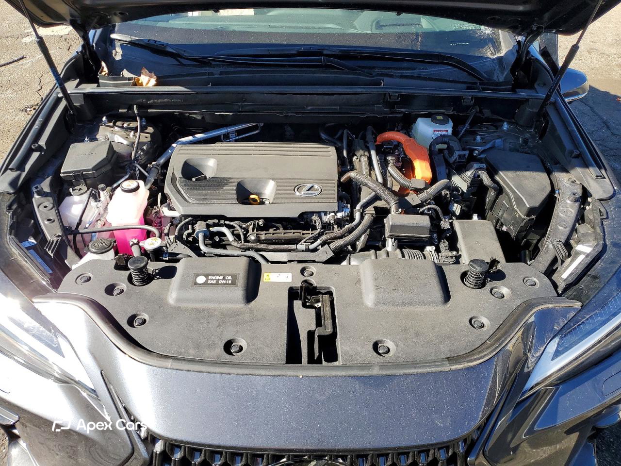 Lexus NX 2025