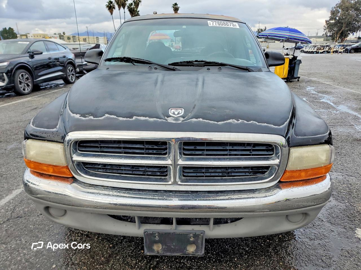 Dodge Dakota 2000
