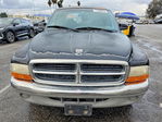 Dodge Dakota 2000