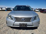 Lexus RX 2013