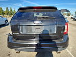 Ford Edge 2013
