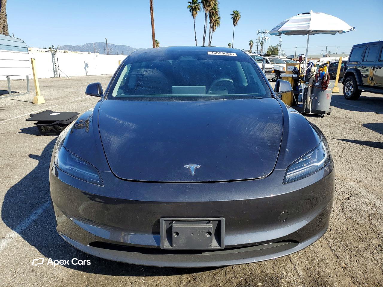 Tesla Model 3 2025