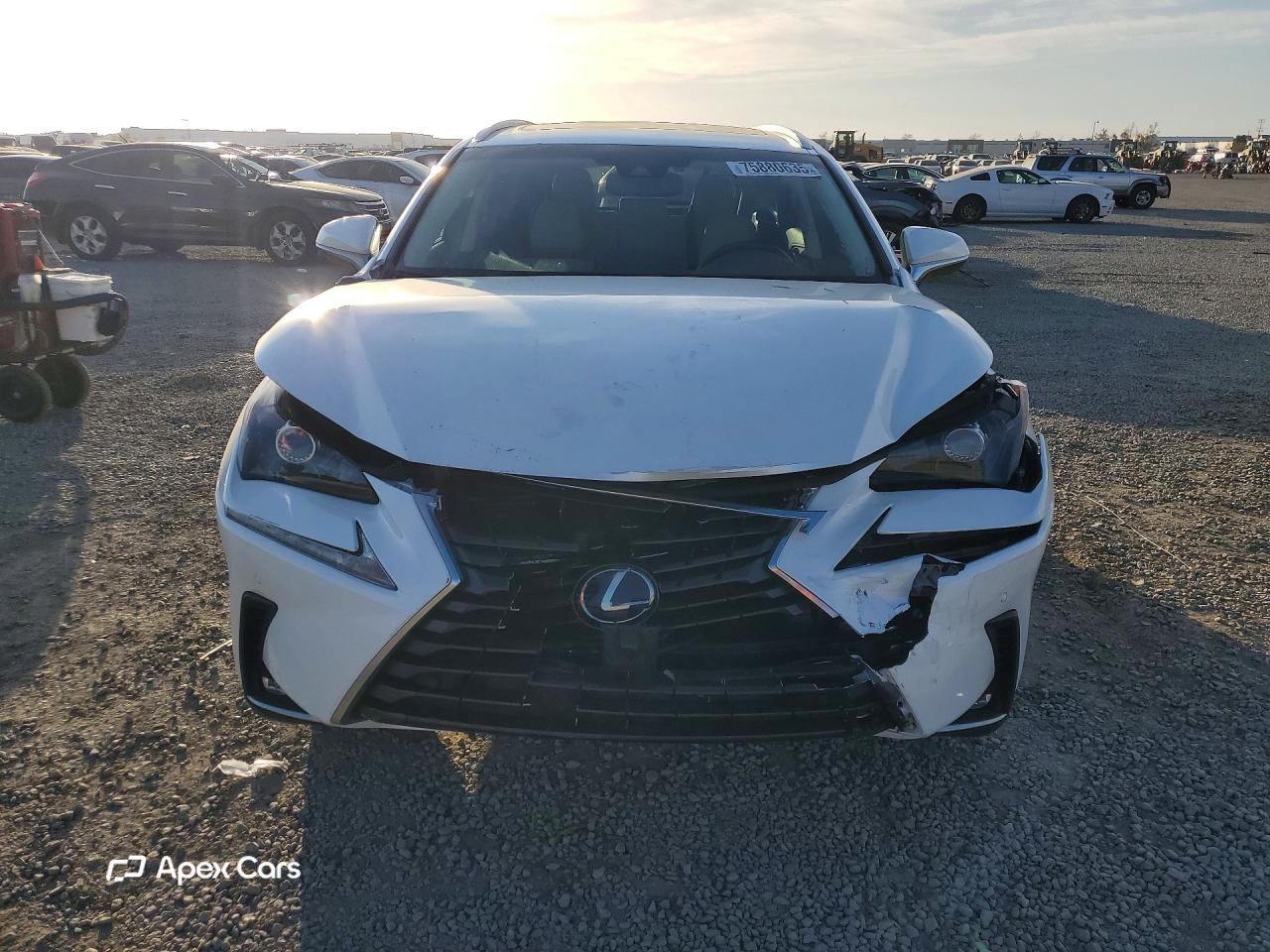 Lexus NX 2019