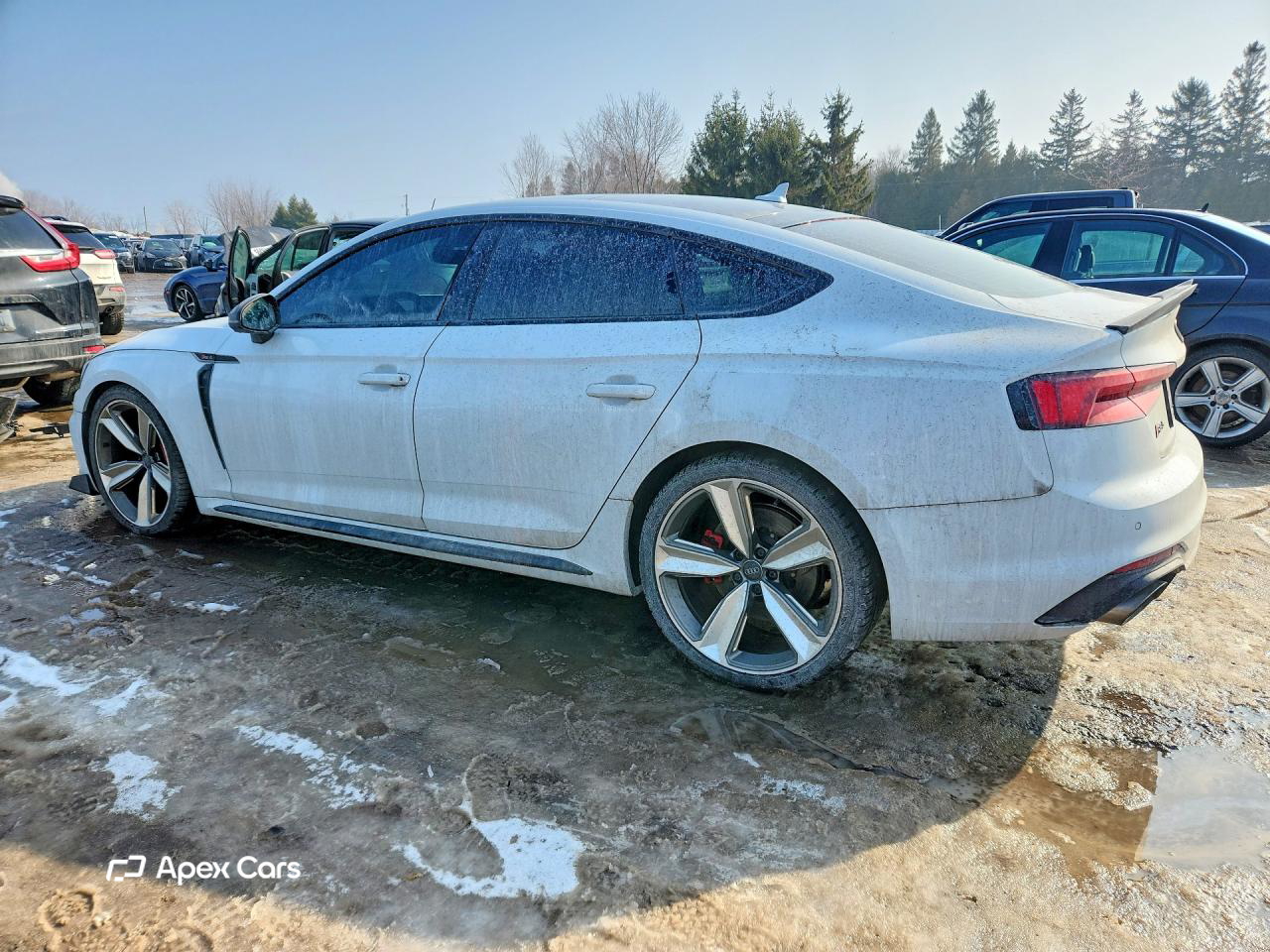Audi RS5 2019