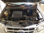 Ford Escape 2010