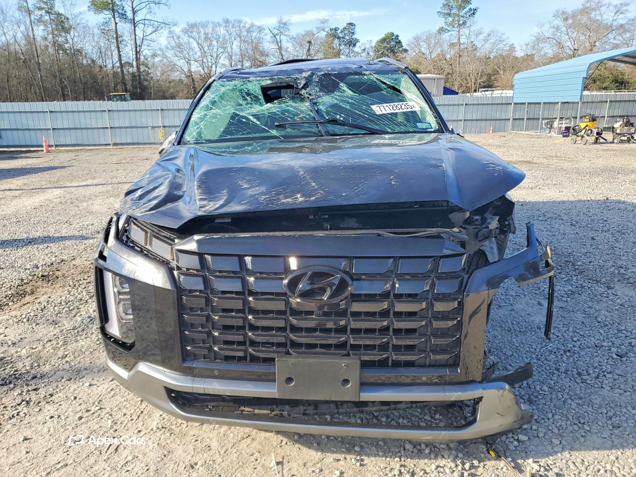 Hyundai Palisade 2024