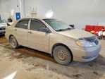 Toyota Corolla 2007