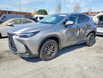 Lexus NX 2025