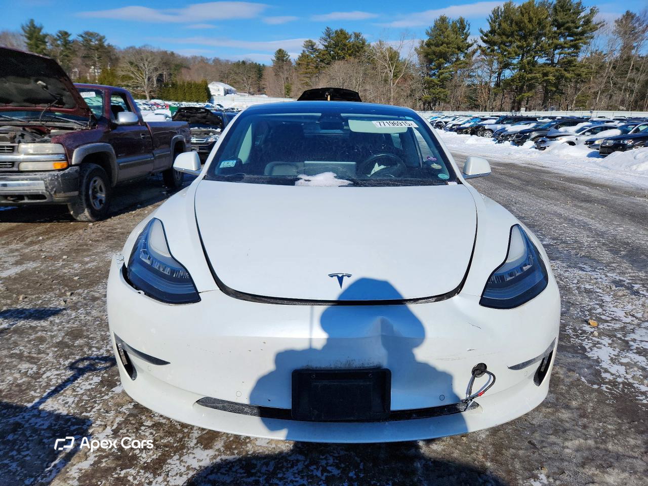 Tesla Model 3 2019