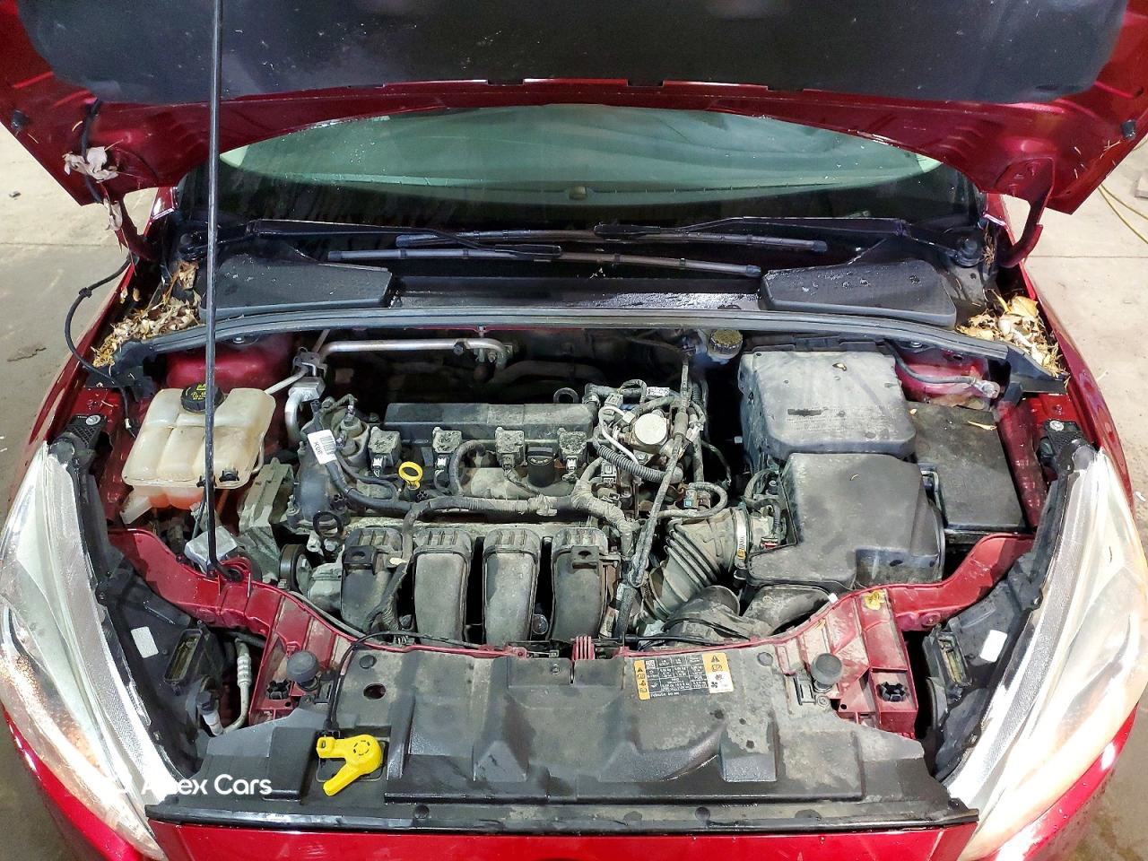 Ford Focus 2016