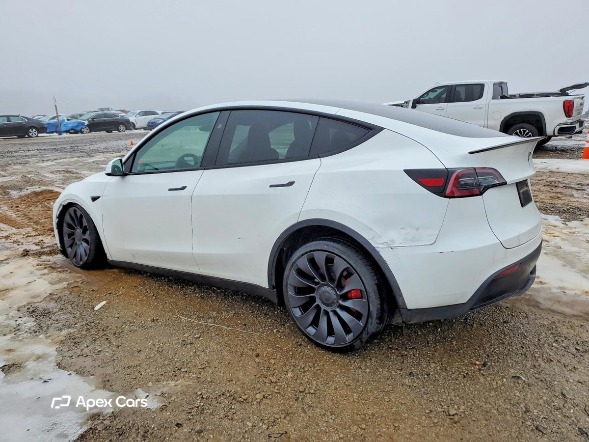 Tesla Model Y 2024