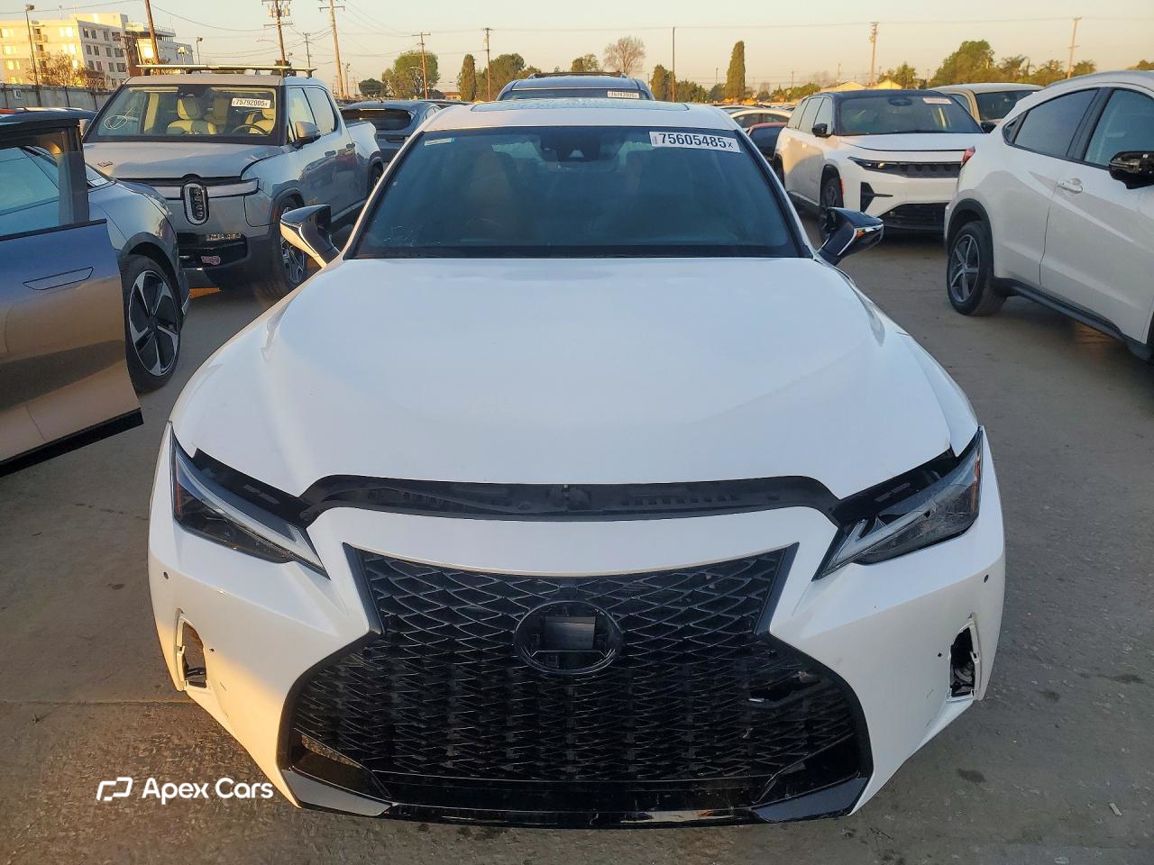 Lexus IS 2023