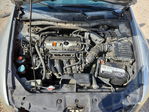 Honda Accord 2011