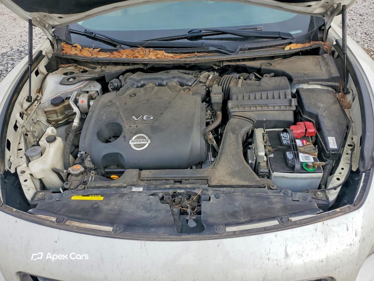 Nissan Maxima 2013