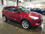 Ford Escape 2013