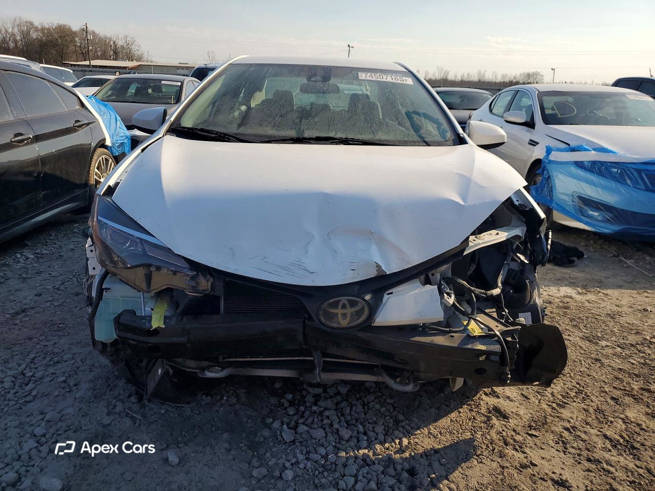 Toyota Corolla 2019