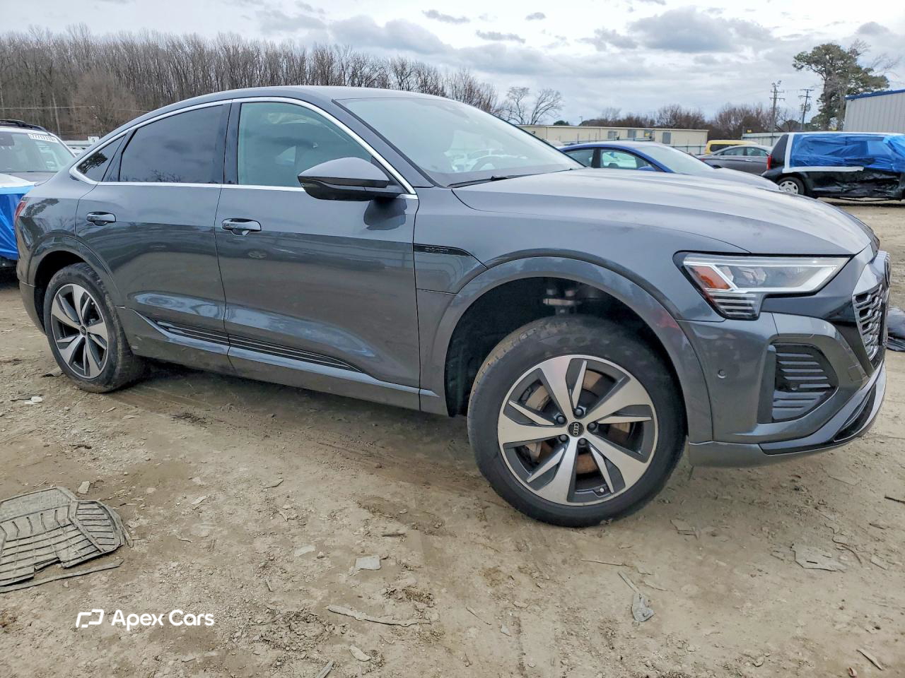 Audi Q8 2024