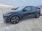 Ford Mustang 2022