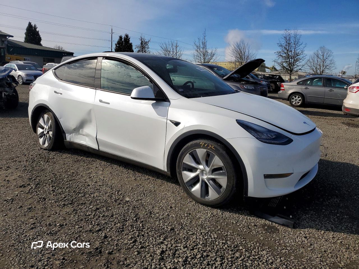 Tesla Model Y 2020