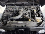 Jeep Wrangler 2010