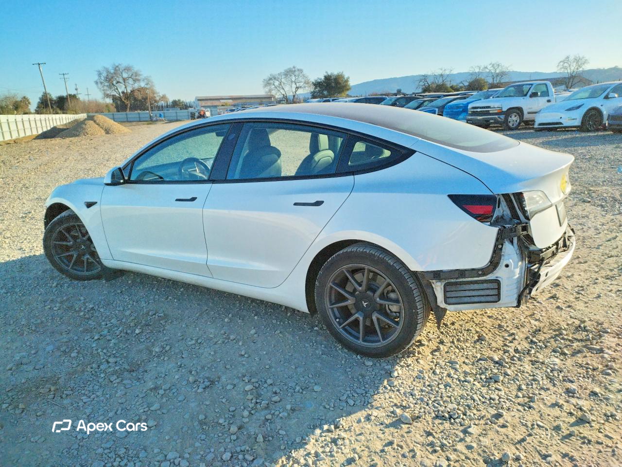 Tesla Model 3 2021