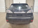 Lexus RX 2010
