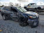 Toyota RAV 4 2024