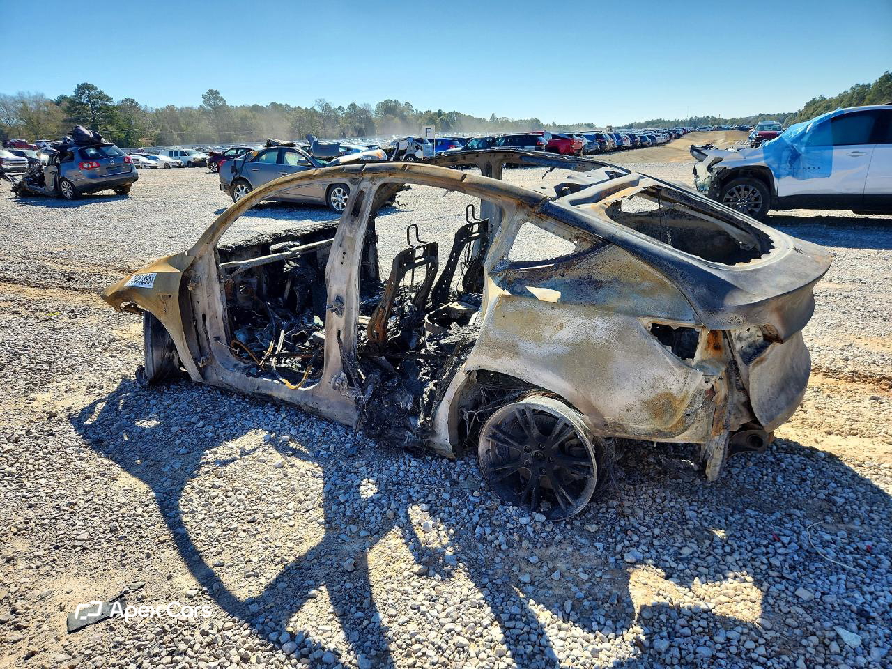 Tesla Model Y 2024