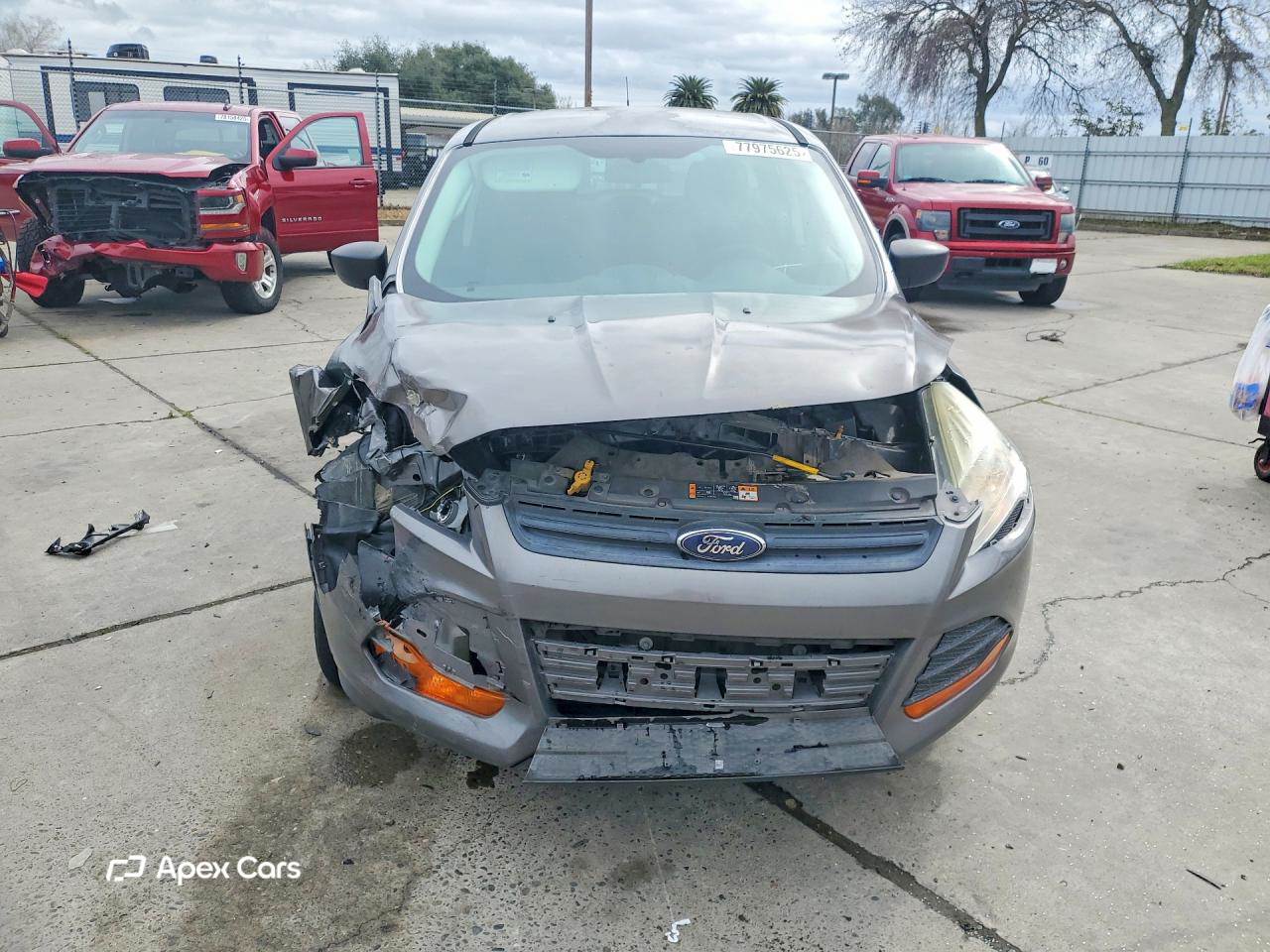 Ford Escape 2014