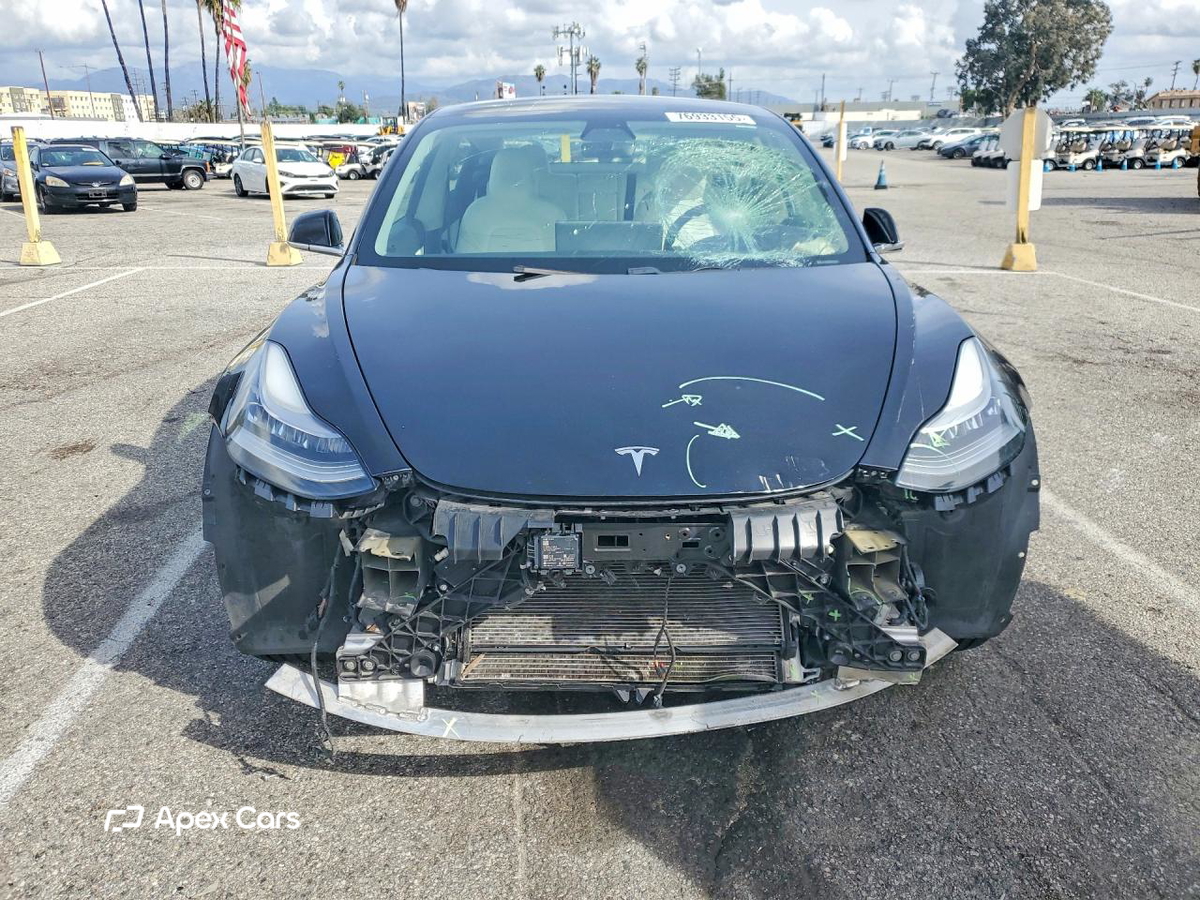 Tesla Model 3 2019