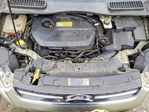 Ford Escape 2013