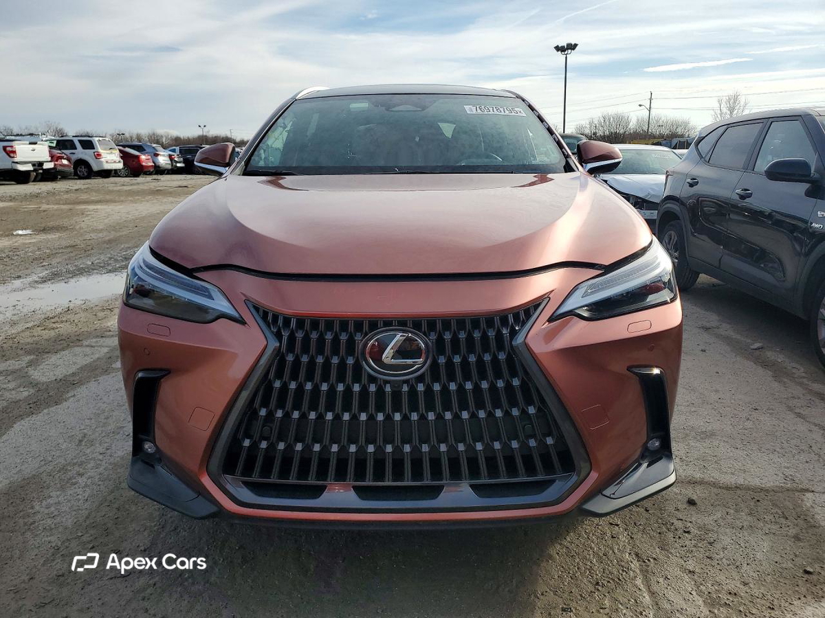 Lexus NX 2025