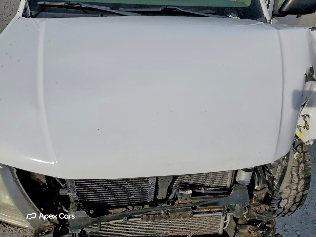 Nissan Navara (Frontier) 2011