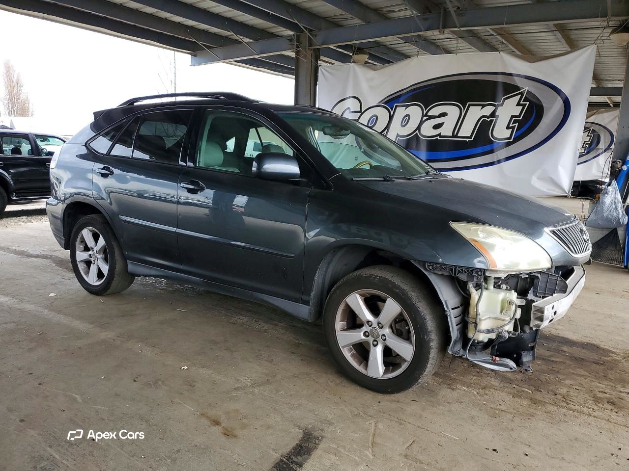 Lexus RX 2006