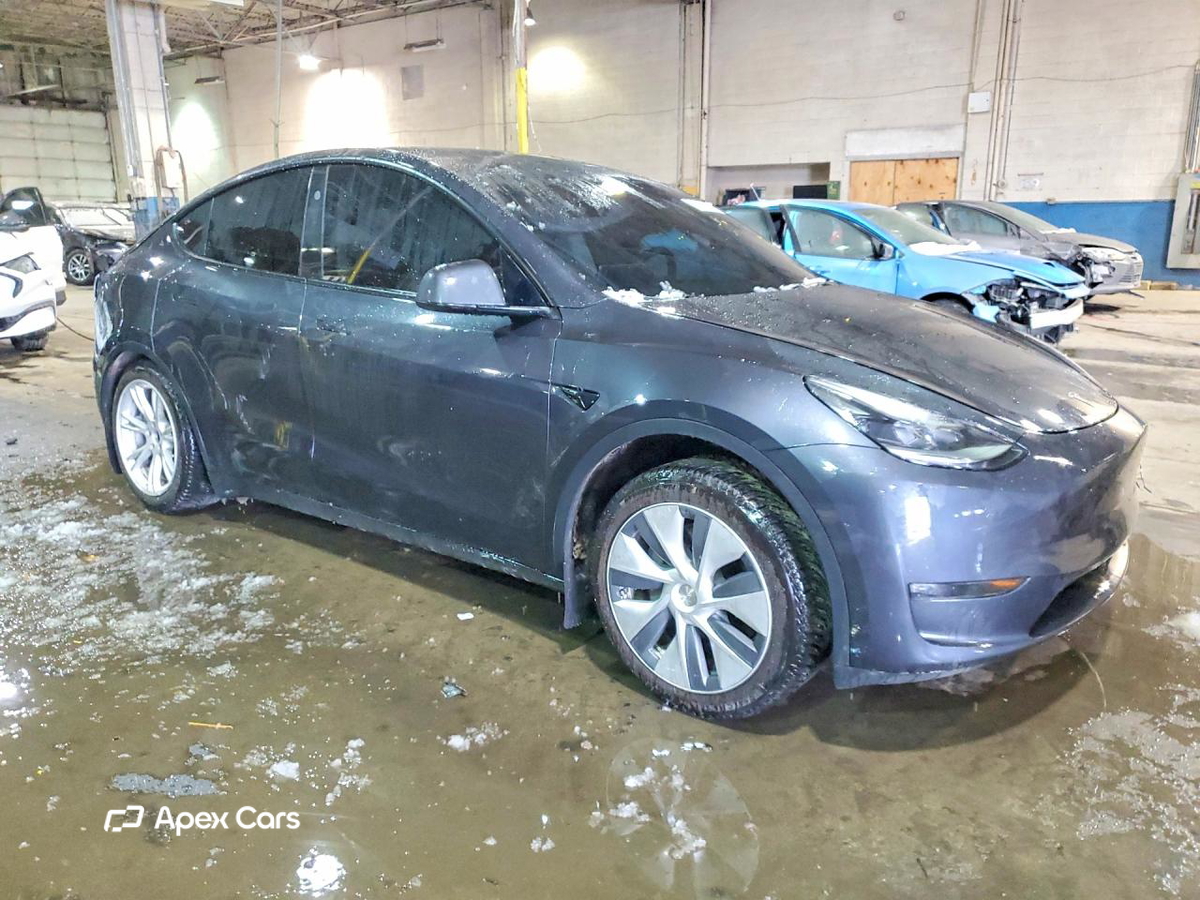 Tesla Model Y 2024