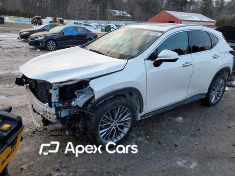 Lexus NX 2023 - Image 1 of 14