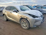 Lexus NX 2015