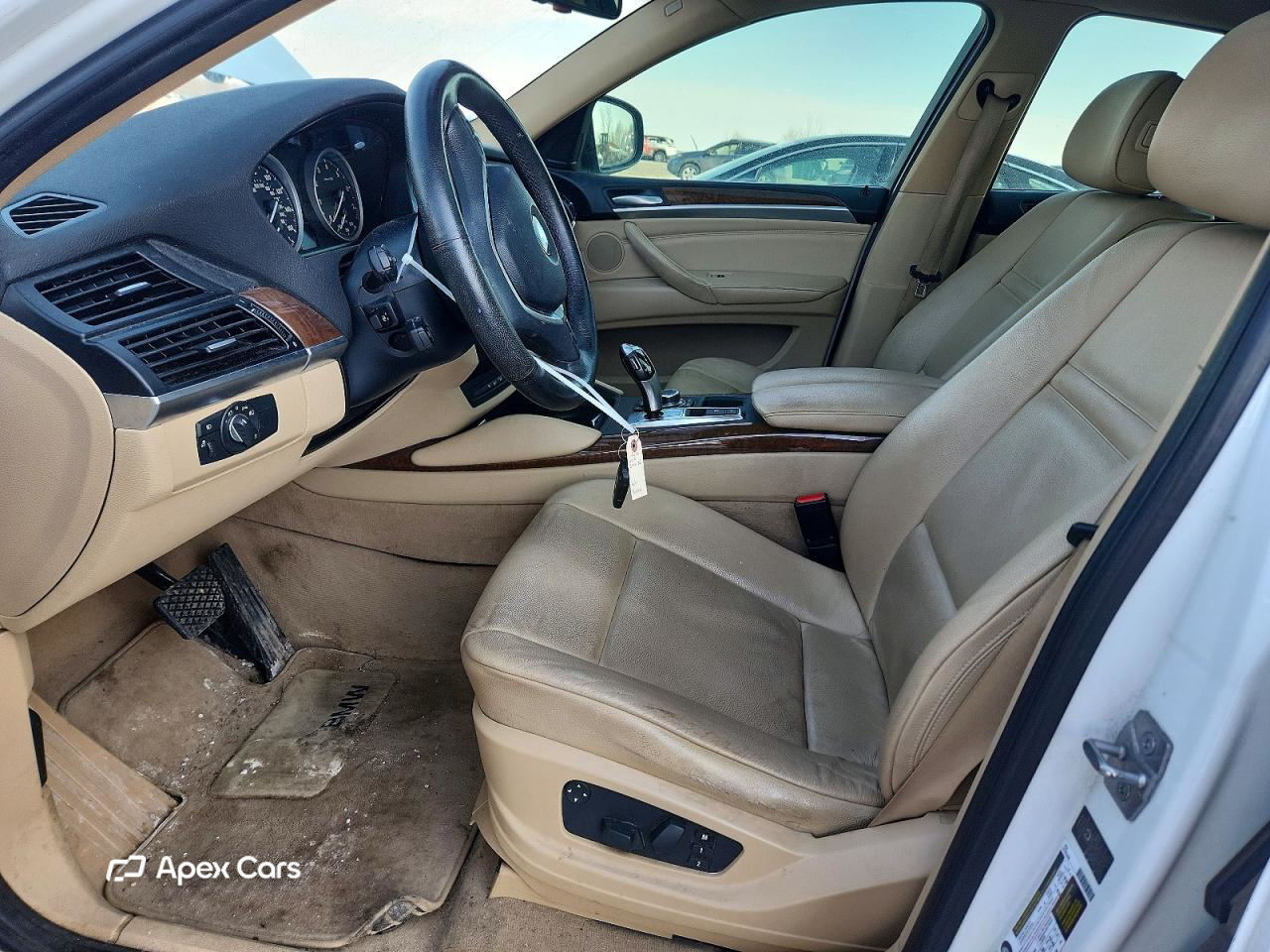 BMW X6 2010
