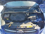 Ford Escape 2013
