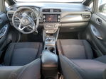 Leaf 2019