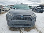 Toyota RAV 4 2019