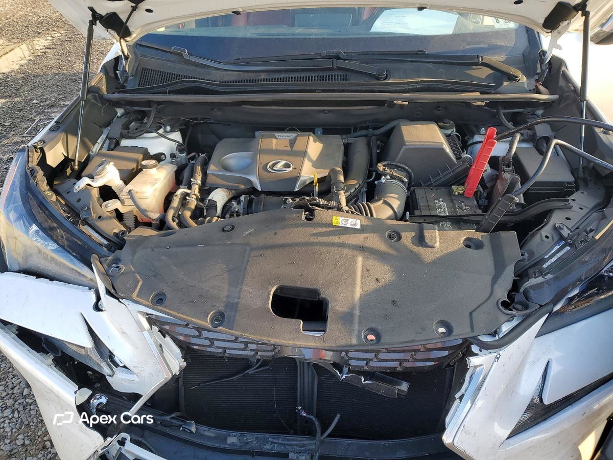 Lexus NX 2021
