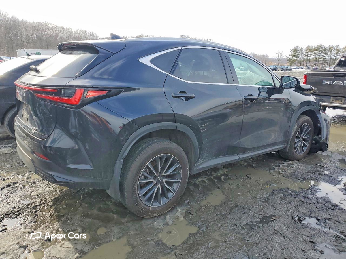 Lexus NX 2024