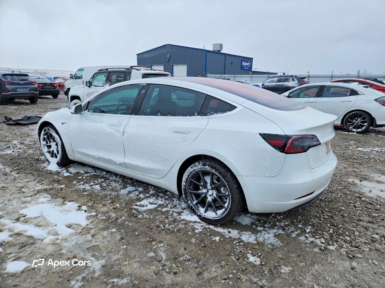 Tesla Model 3 2017