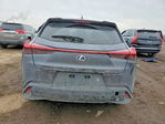 Lexus UX 2022