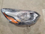 Kia Rio 2013