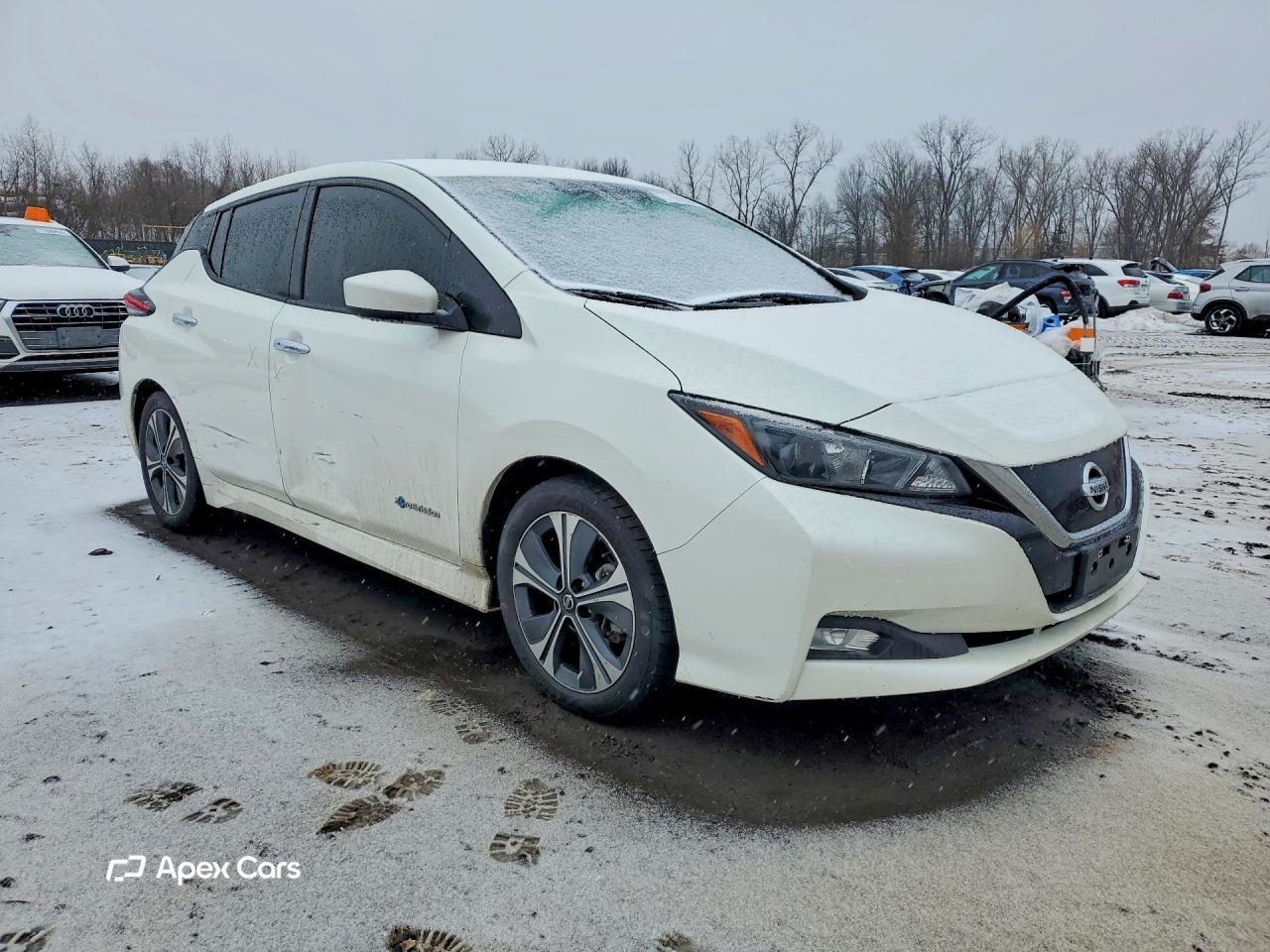 Nissan Leaf 2018