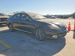 Lexus ES 2012