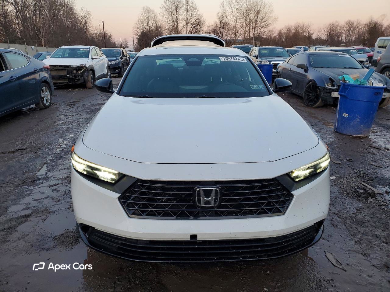 Honda Accord 2025